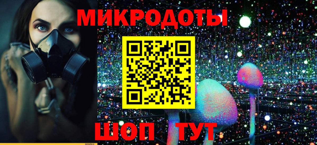 Псилоцибиновые грибы Psilocybe Кольчугино
